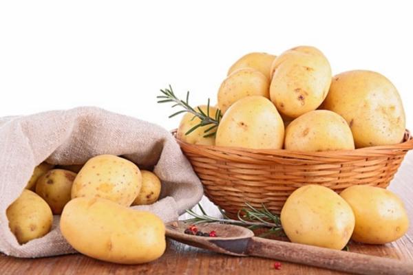 圣女果是轉基因的嗎 圣女果一天可以吃多少