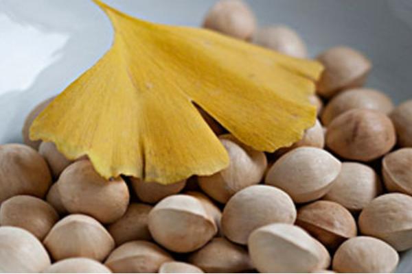 新鮮白果怎么保存 白果是什么樹的果實(shí)