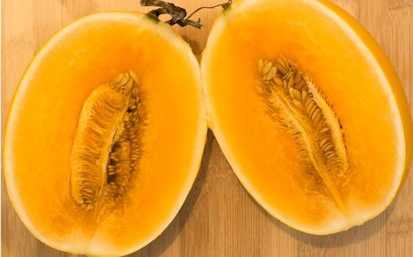 黃河蜜市場價格多少錢一斤 黃河蜜瓜什么時候成熟