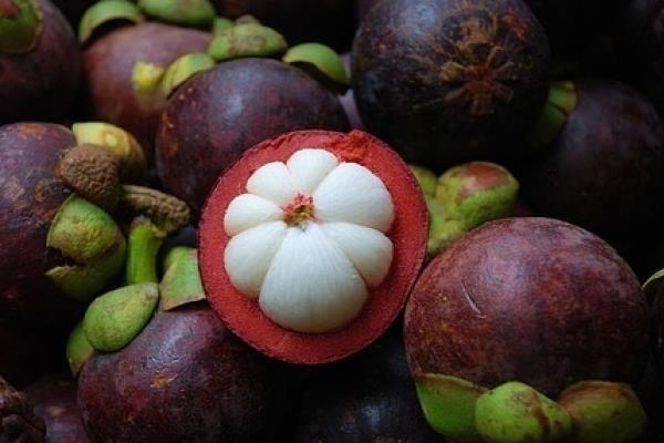 榴蓮和山竹可以一起吃嗎 榴蓮和山竹為什么叫夫妻果