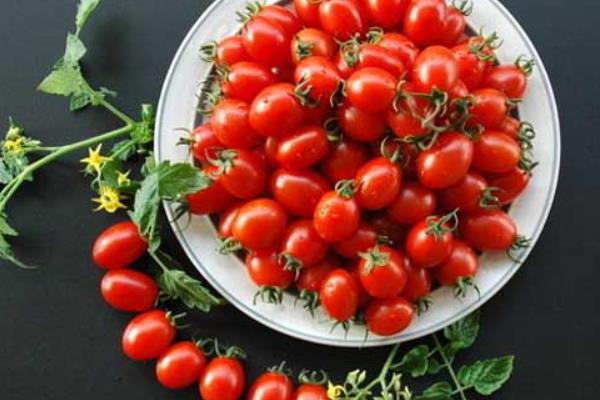 圣女果是蔬菜還是水果 圣女果可以空腹吃嗎