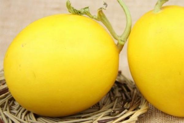 黃河蜜功效與作用 黃河蜜營養價值