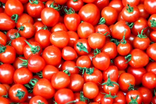 圣女果是蔬菜還是水果 圣女果可以空腹吃嗎