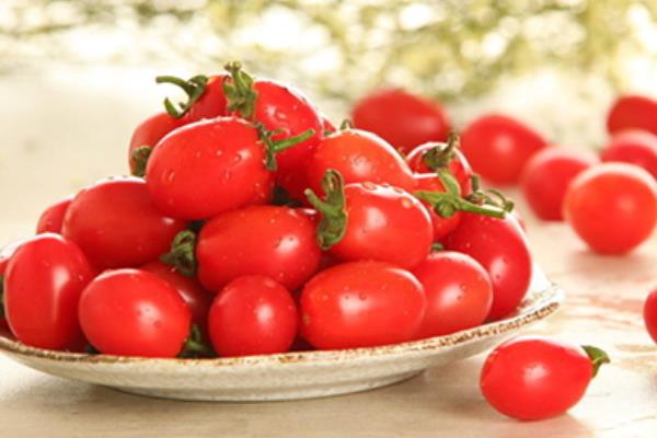 圣女果是蔬菜還是水果 圣女果可以空腹吃嗎