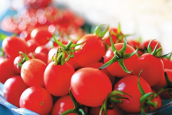 圣女果是蔬菜還是水果 圣女果可以空腹吃嗎