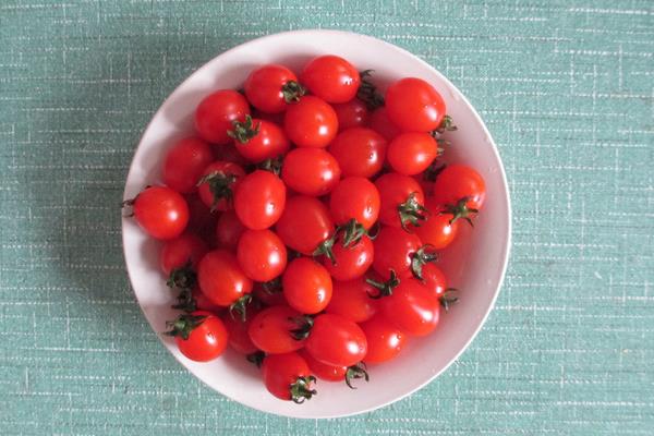 圣女果產地是哪里 圣女果栽培技術