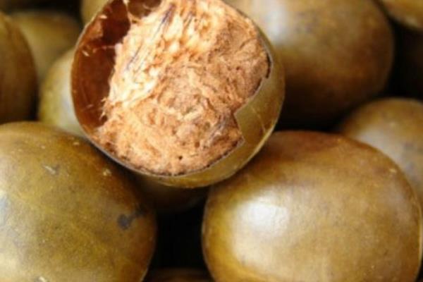 羅漢果怎么泡水 羅漢果泡水喝的功效與作用