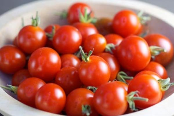 圣女果產地是哪里 圣女果栽培技術