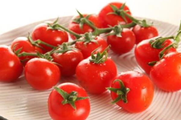 圣女果產地是哪里 圣女果栽培技術