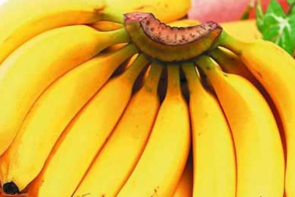 香蕉是什么季節(jié)的水果 香蕉幾月熟