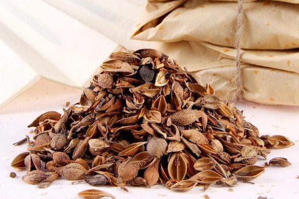 連翹市場價格多少錢一斤 連翹的功效作用