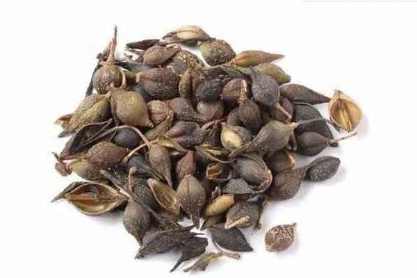 連翹市場價格多少錢一斤 連翹的功效作用