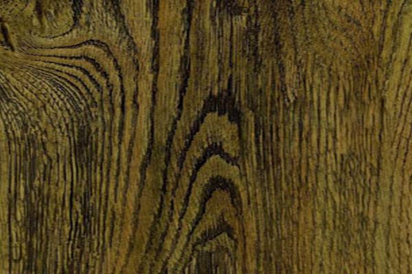 孔雀木怎么養(yǎng) 孔雀木養(yǎng)殖方法與注意事項(xiàng)