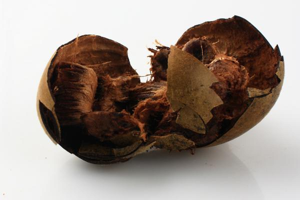 羅漢果和百香果的區別是什么 羅漢果的吃法