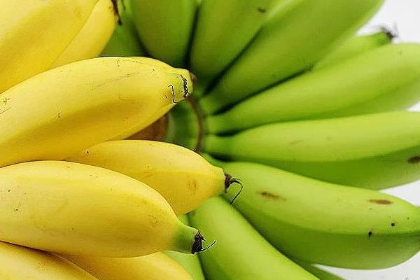 帝王香蕉和普通香蕉的區(qū)別是什么 帝王蕉的市場(chǎng)價(jià)格