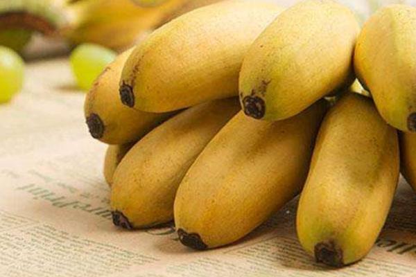 帝王香蕉和普通香蕉的區(qū)別是什么 帝王蕉的市場(chǎng)價(jià)格