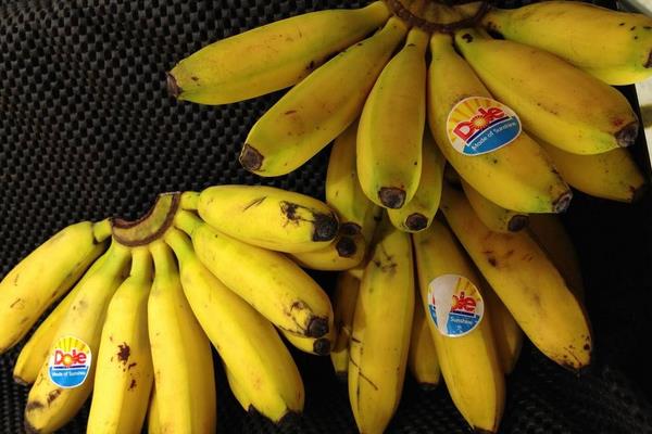 帝王香蕉和普通香蕉的區(qū)別是什么 帝王蕉的市場(chǎng)價(jià)格