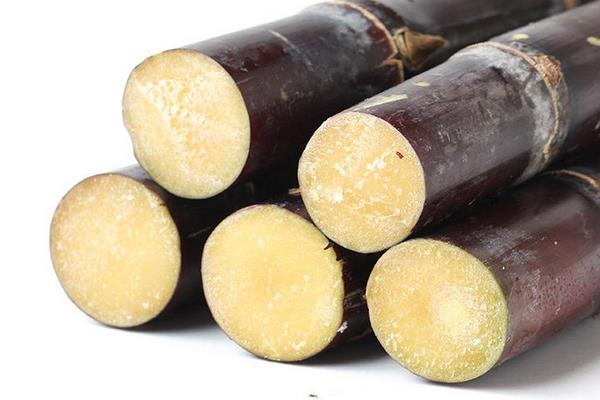 吃甘蔗的好處是什么 甘蔗吃多了會怎么樣