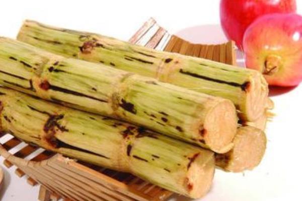 吃甘蔗的好處是什么 甘蔗吃多了會怎么樣