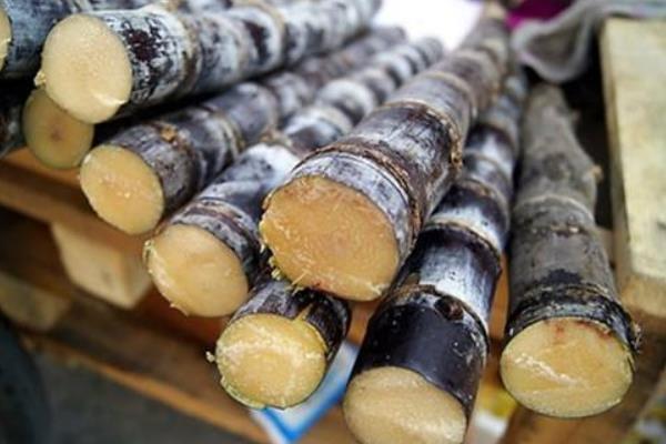 吃甘蔗的好處是什么 甘蔗吃多了會怎么樣