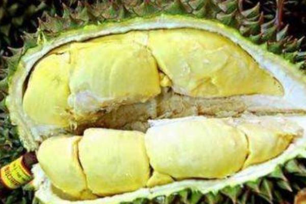 吃榴蓮美容嗎 榴蓮是補什么的