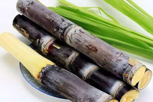 甘蔗紅糖市場價格多少錢一斤 常吃甘蔗紅糖有什么好處