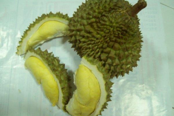 榴蓮市場價格多少錢一斤 沒吃完的榴蓮怎么保存