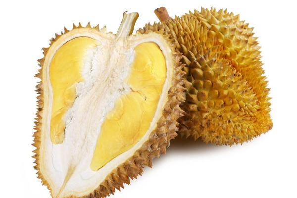 榴蓮為什么是水果之王 為什么說一只榴蓮三只雞