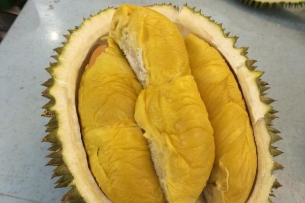 榴蓮為什么是水果之王 為什么說一只榴蓮三只雞