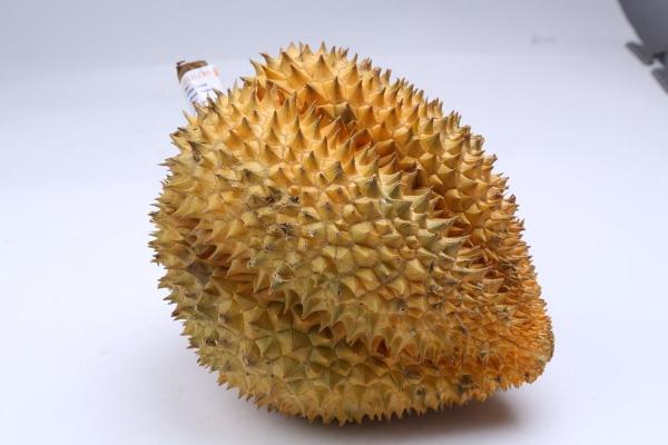 榴蓮為什么是水果之王 為什么說一只榴蓮三只雞