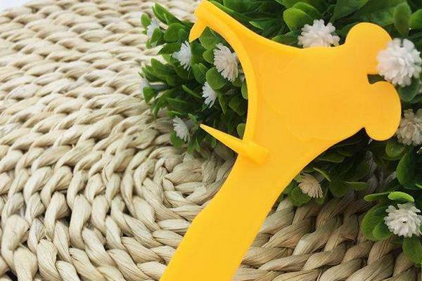 百香果開果器怎么用 百香果的殼怎么吃