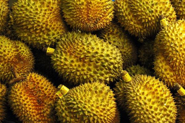 榴蓮功效與作用及禁忌 榴蓮營養價值