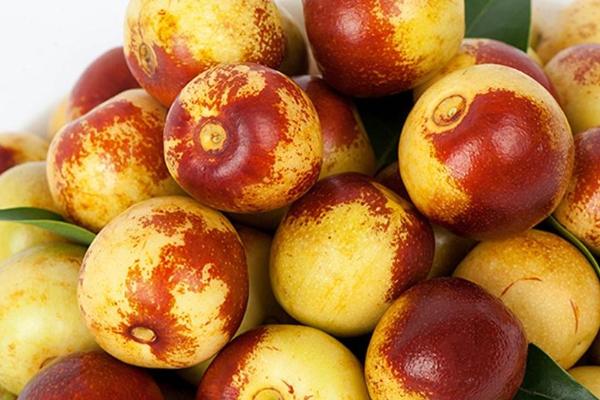 冬棗是紅棗嗎 冬棗和紅棗的區別是什么