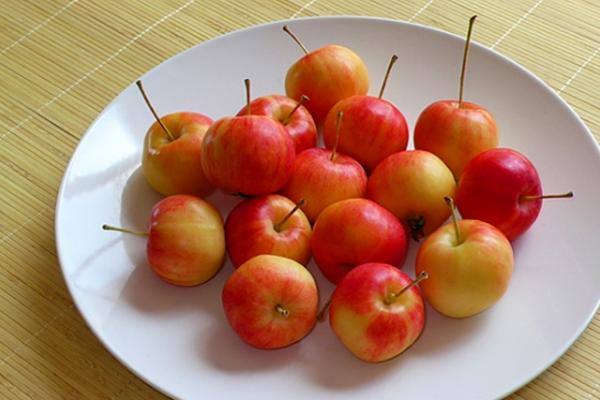 海棠果和蘋果的區別是什么 海棠果是什么