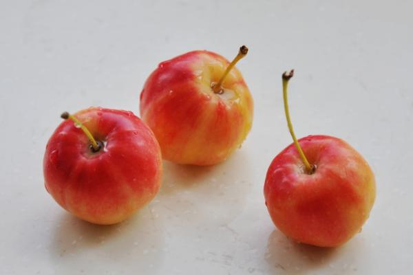 海棠果圖片大全 海棠果有什么用