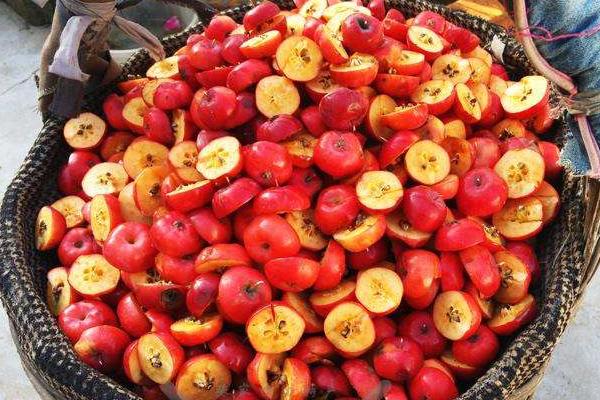 海棠果圖片大全 海棠果有什么用