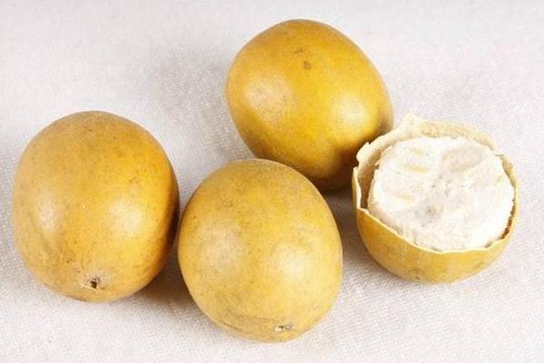 羅漢果的功效與作用及禁忌 羅漢果藥用價值