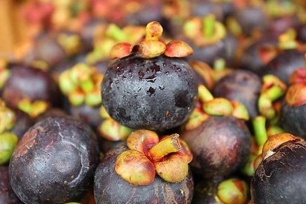 山竹市場價格多少錢一斤 山竹為什么那么貴