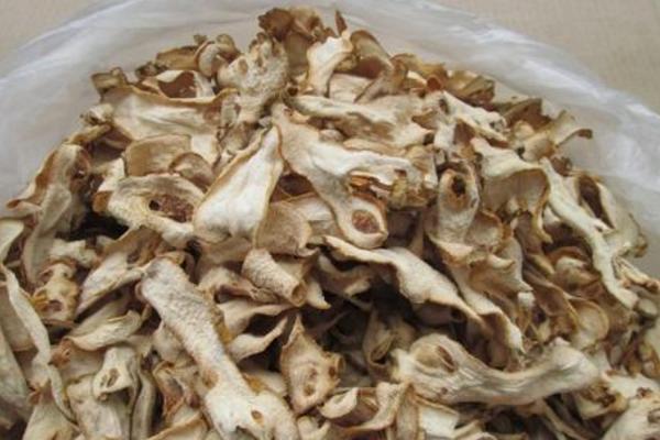 佛手柑市場價格多少錢一斤 佛手柑的功效作用