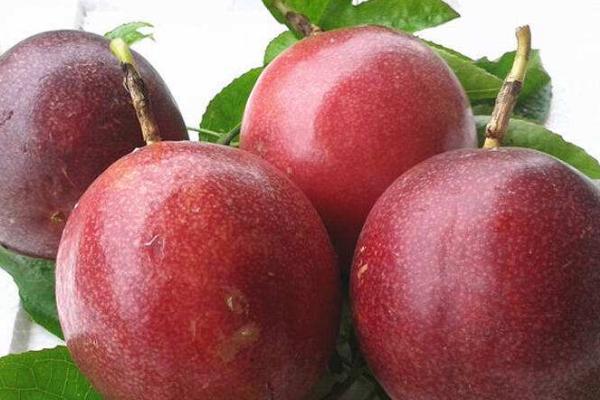 百香果的籽能吃嗎 百香果一天吃幾個最好