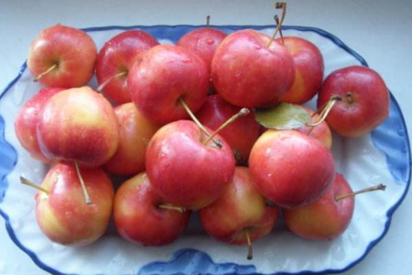 沙果是什么 沙果的營養(yǎng)價值