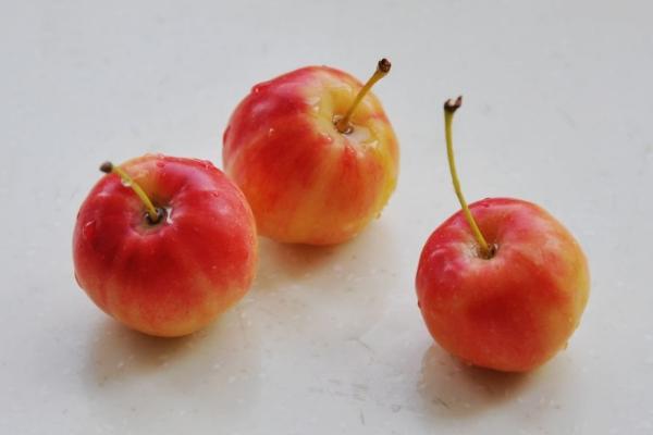 沙果是什么 沙果的營養(yǎng)價值