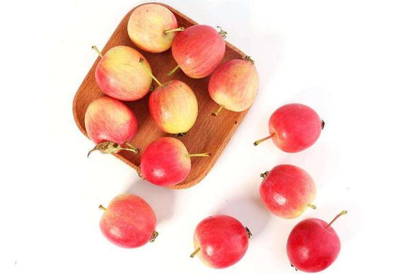 沙果是什么 沙果的營養(yǎng)價值