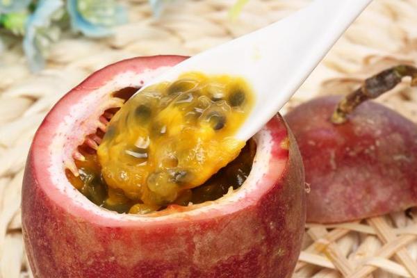 百香果種子怎么種 百香果一年結(jié)幾次果