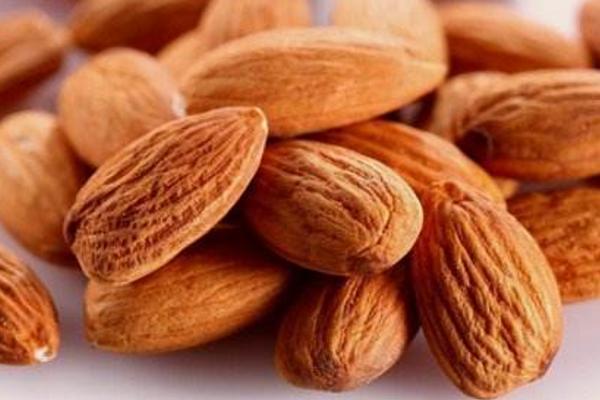 巴旦木是杏仁嗎 杏仁和巴旦木的區別是什么