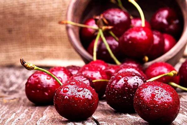 厘子樹苗市場價格多少錢一棵 吃車厘子有什么好處