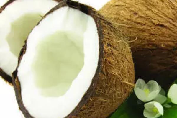 椰汁的功效與作用及禁忌 椰汁的營養價值