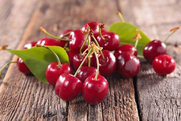 厘子樹苗市場價格多少錢一棵 吃車厘子有什么好處