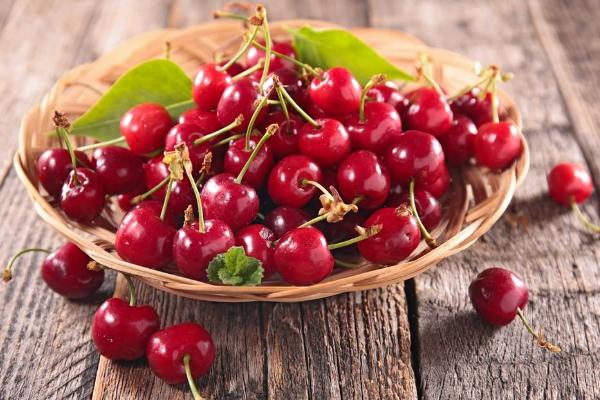 厘子樹苗市場價格多少錢一棵 吃車厘子有什么好處