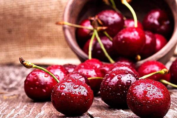 車厘子產(chǎn)地在哪里 車厘子是什么水果